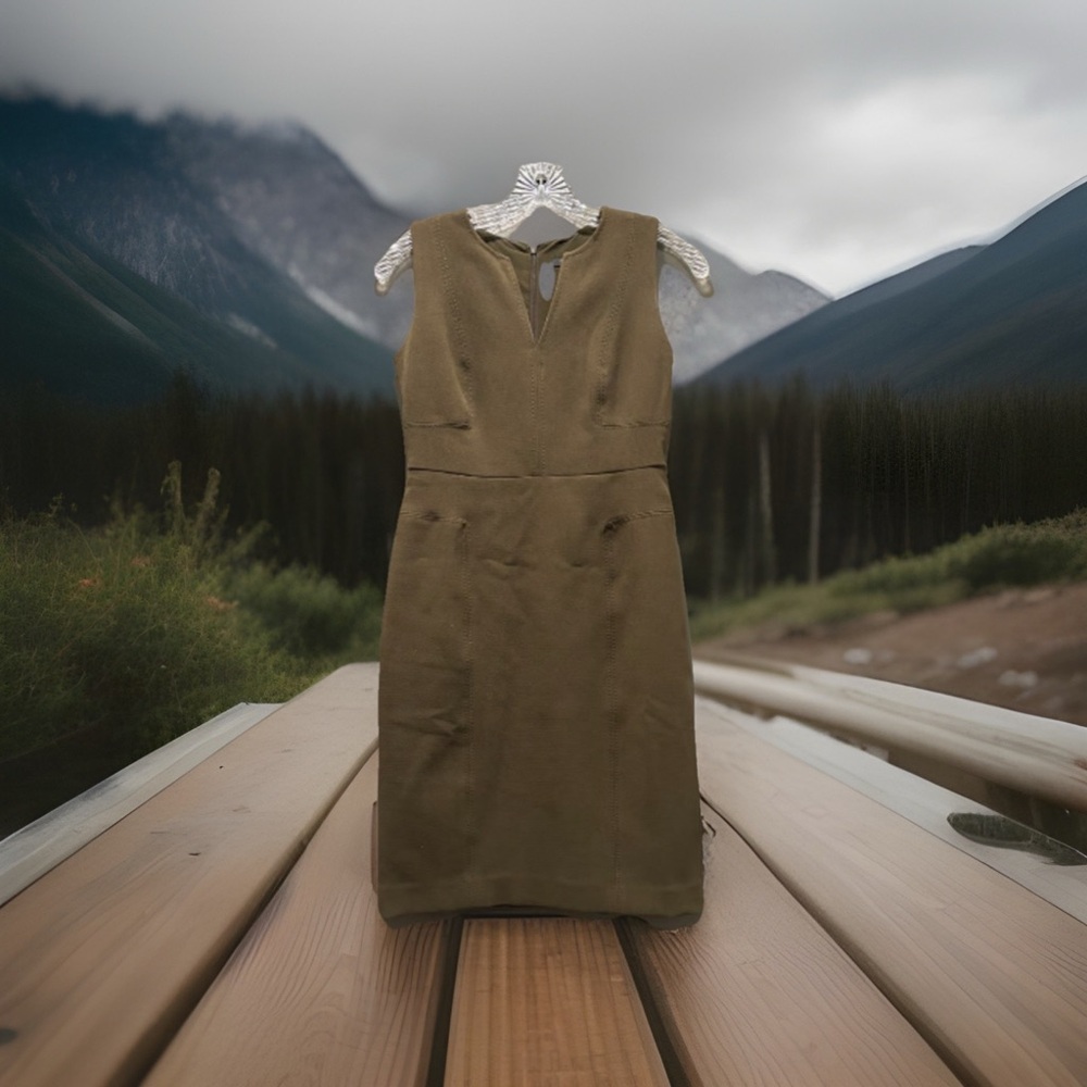NWT Ann Taylor Modern Business Sophisticated Minimalistic Career Preppy Dress 6P